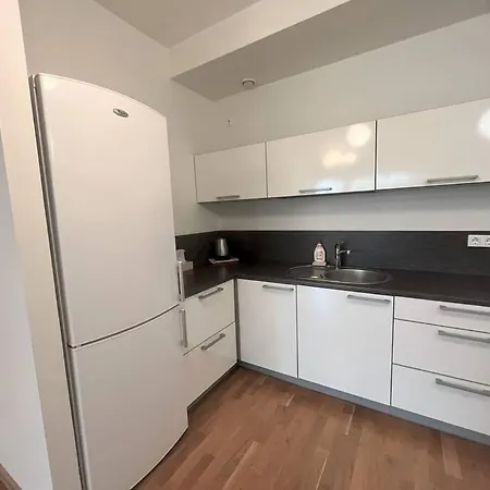 Apartment Stylish In Center With Parking *